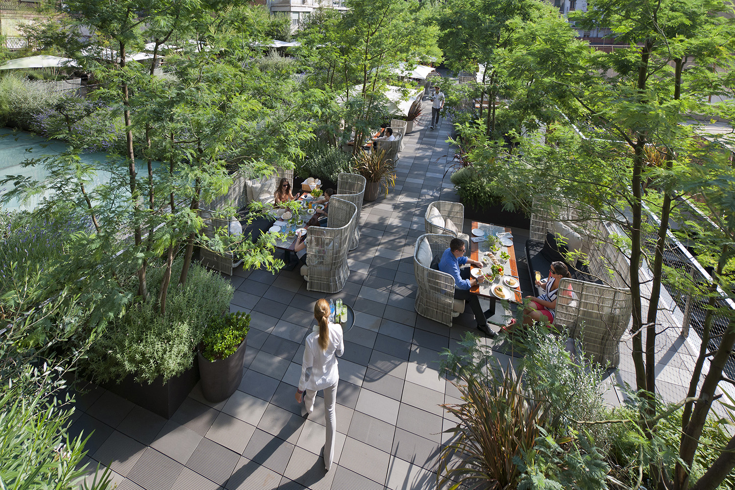 Las mimosas florecen en el jardín secreto de Mandarin Oriental, Barcelona