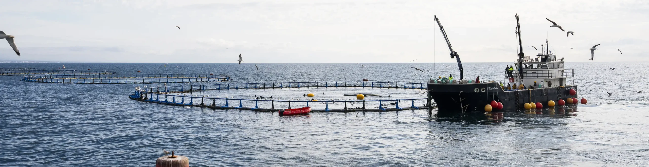 Balfegó inaugurates the world’s most advanced bluefin tuna facilities